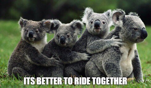 NYSDEC's tweet photo. It's better to ride together! Use @511ny_rideshare's resources to make carpooling easier: https://t.co/HAOVMEfgDs #GYCD2018 https://t.co/oCh2H9zi9j