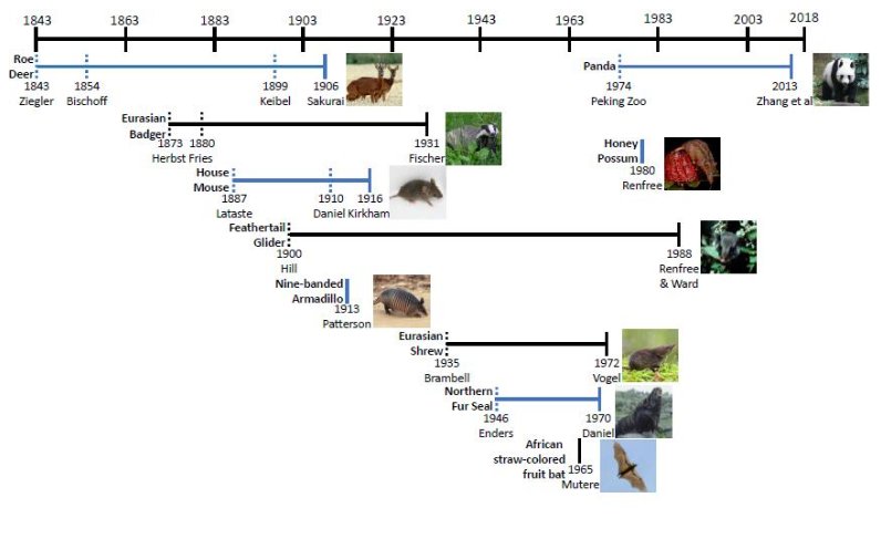Biology of Reproduction tweet media