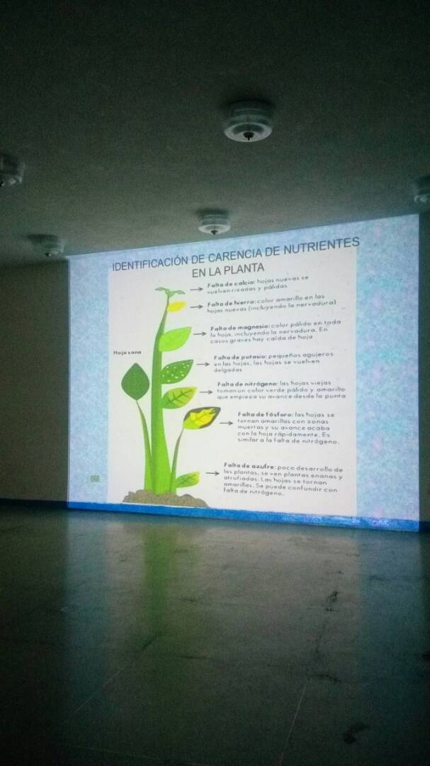 LSOTOIF2023's tweet photo. Inicio de la Formación "Agricultura Urbana" dictada por la Universidad Simón Rodríguez a docentes de las Parroquias Valle-Coche en los espacios de la UEN Coronel Carlos Delgado Chalbaud.  @javierojasmo @ZonaEducativaDC @MPPEDUCACION @JauaMiranda @MPPEFormacion @eugeniapinero https://t.co/CMPTUQHWJY