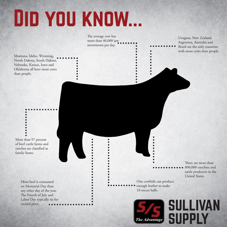 SullivanSupply's tweet photo. Happy Beef Month! Did you know these facts about beef cattle?
#BeefMonth #SullivanSupply #BeefItsWhatsForDinner #BeefTruth https://t.co/qcS4Q5o4Qy
