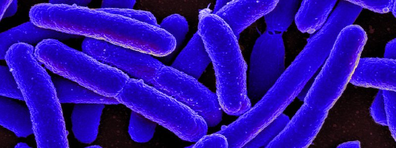 PVapes's tweet photo. A brand new type of study discovers that vapers have the same type of bacteria in their gut as non-smokers
https://t.co/l7FpTVke5Q #vaping #vapingnews #bacteria #vapinghealth https://t.co/yEl5X4GBYB