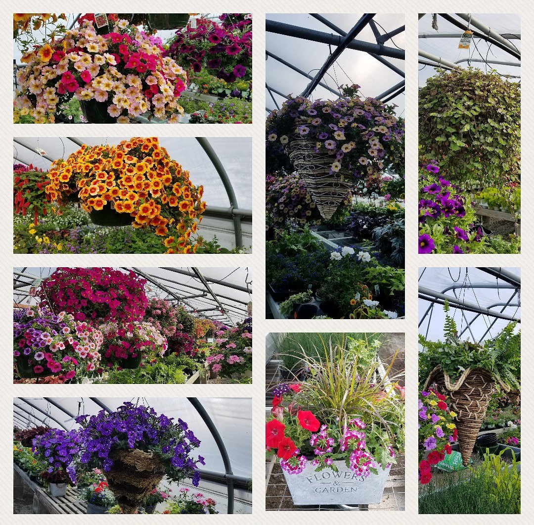 Pride Hill Farm & Garden Center (pride_hill) Twitter