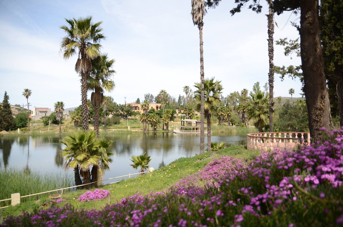 Construye🏠 un mejor futuro para ti y tu familia👩‍👩‍👧‍👦 ¡Conoce Rancho Tecate! ❤️Firma tu terreno con $395 USD.ranchotecate.mx/encinos/ 👈