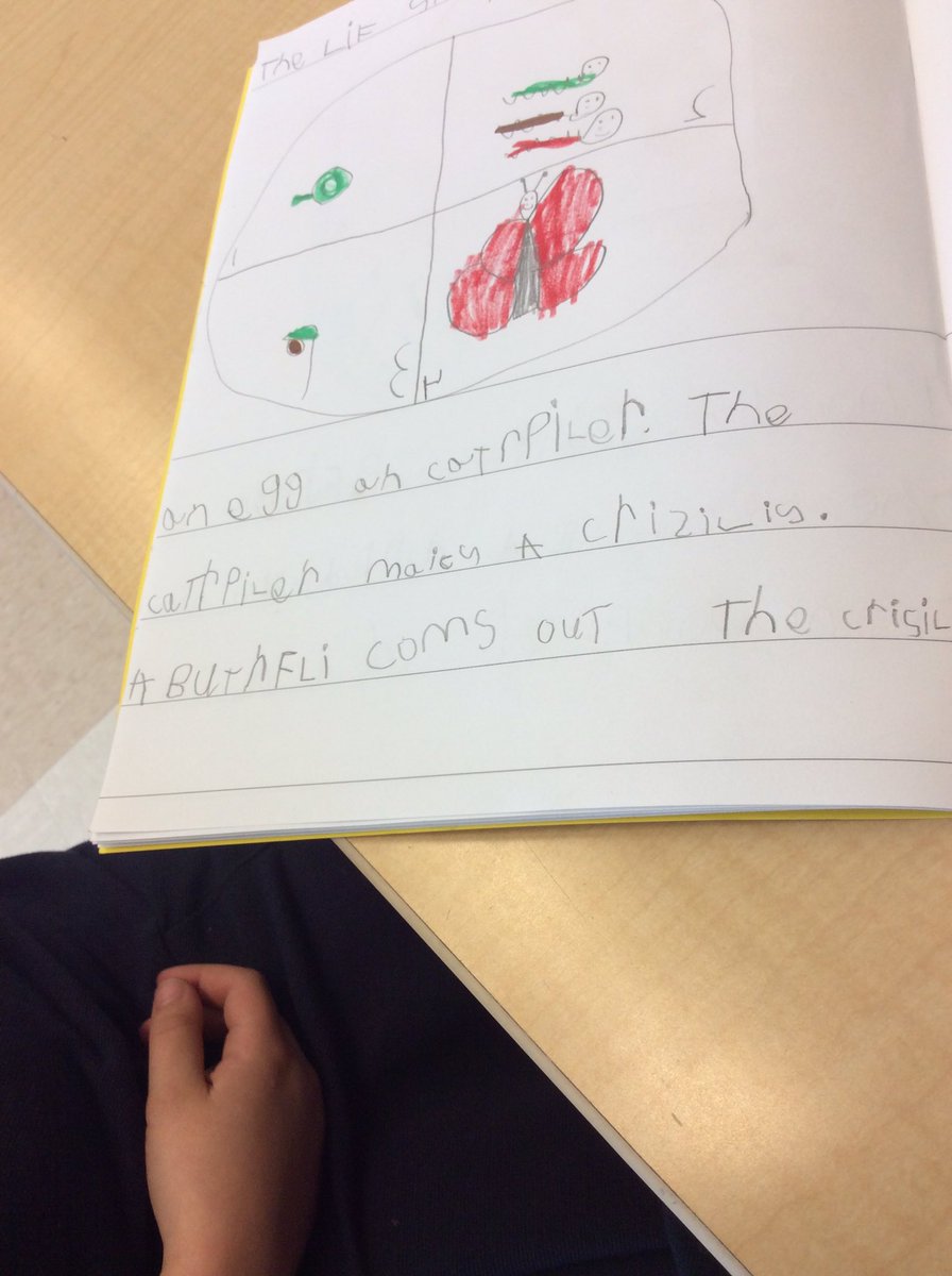 BISCLPReception's tweet photo. The #BrilliantBadgers have been applying their new understanding of life cycles to their independent writing! WOW! @The_IEYC #thebrilliantbugball #writingforapurpose #BeAmbitiousNAE ##BISCLPReception https://t.co/EltBmQcmZu