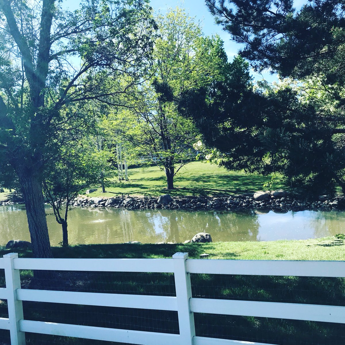 KevinBrunson's tweet photo. #RunStreak day 3868, #TuesdayLongRun 10.03 miles.🏃🏻#RunEveryDay #BQ02242018 #Boston2019 #MarathonTraining #RunningForMentalHealth #RenoNevada
#RunningForEndurance #EclipseRunning
#RoadRunning #BartleyRanch #LakesideDrive #LoveToRun #KinneyLane #LoneTreeLane https://t.co/RRFjO62SIU