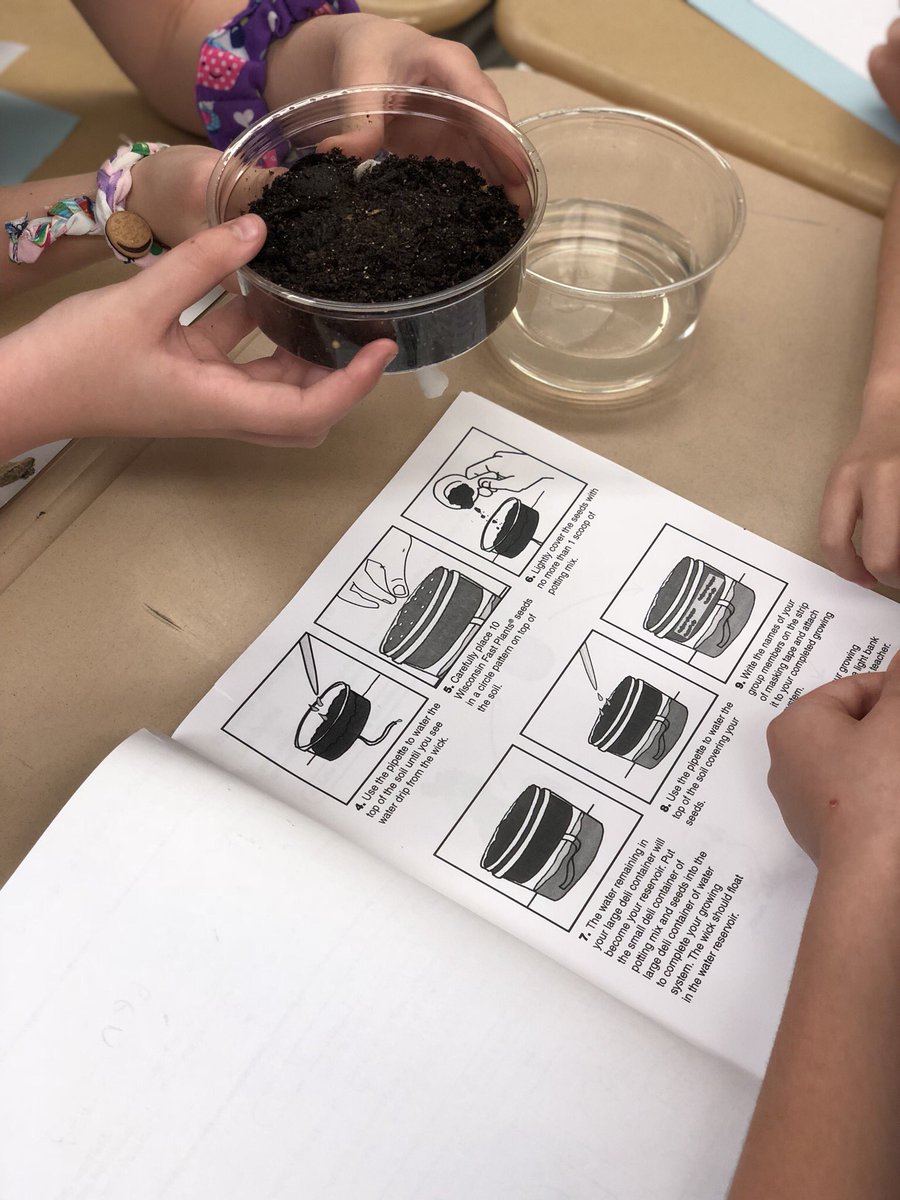 MTL_DynamicDuo's tweet photo. It’s spring time in the classroom! Planting Wisconsin fast plants in science today... stay tuned! 🌱 https://t.co/GvTuvtwfof