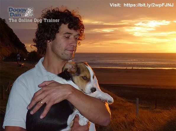 JamesMarcano1's tweet photo. 5 Step-By-Step Exercises to Totally Calm Your Dog And Make Them Highly    Responsive To YOU... Even When All Hell Is Breaking Loose!

Read more: https://t.co/hOkV3sxhtL

#DogTraining #DogTrainingTricks #BestDogTraining #DogTrainingTechniques #DogTrainingVideo #DogTrainingClasses https://t.co/2vOFF3hnCS
