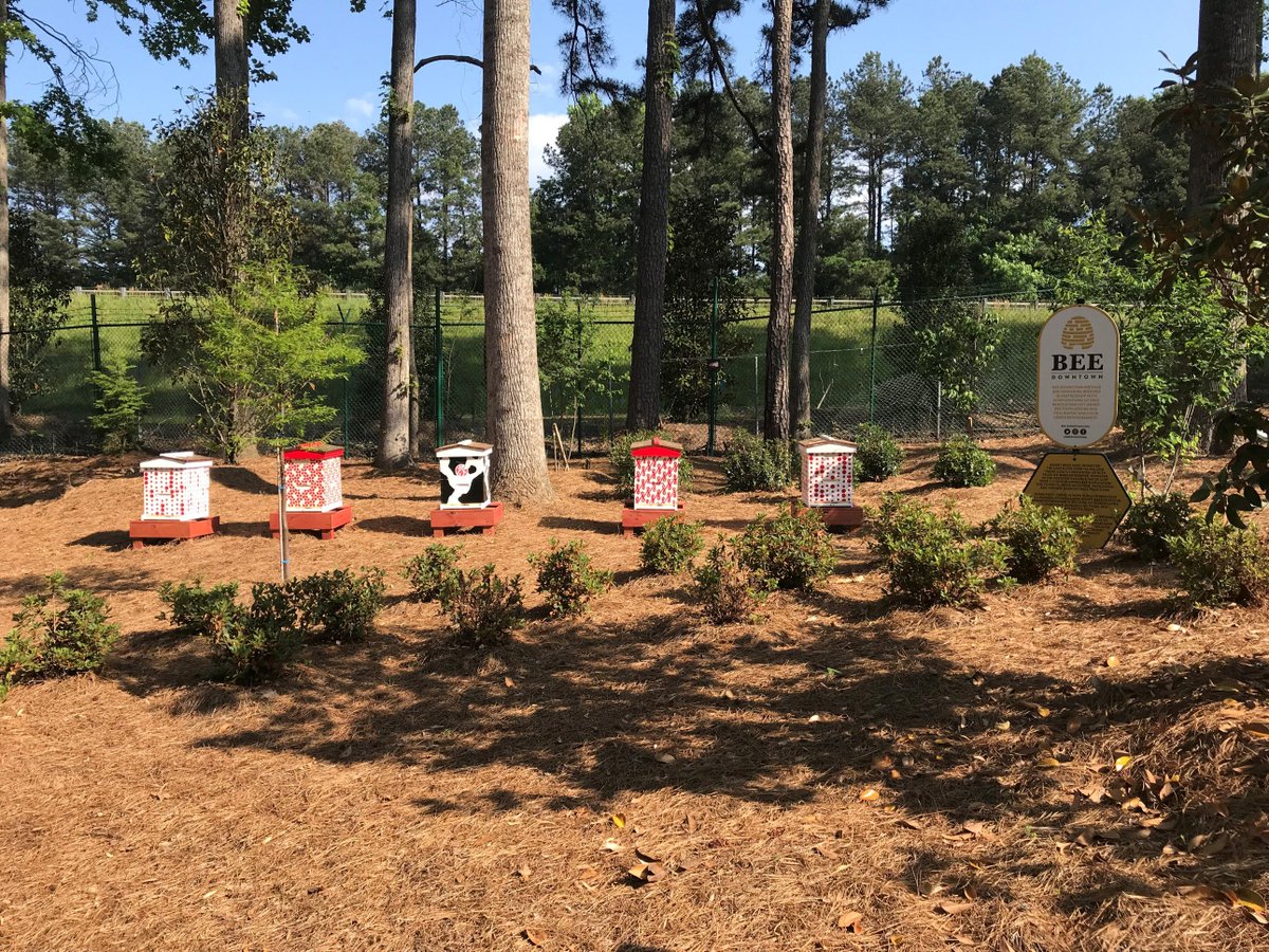 cs_chiefs's tweet image. I had the awesome opportunity today to join our 4th and 5th graders on a field trip to @ChickfilA corporate!  We went on an amazing campus tour, where we learned about their #SharedTable program and also saw their #honeybee downtown. @HighMeadowsGA #honeybees #fieldtrip #learning