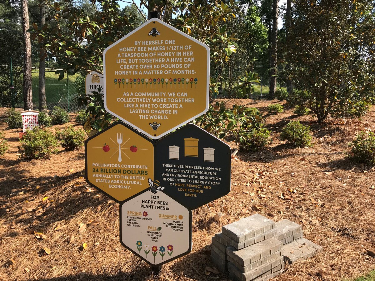 cs_chiefs's tweet image. I had the awesome opportunity today to join our 4th and 5th graders on a field trip to @ChickfilA corporate!  We went on an amazing campus tour, where we learned about their #SharedTable program and also saw their #honeybee downtown. @HighMeadowsGA #honeybees #fieldtrip #learning