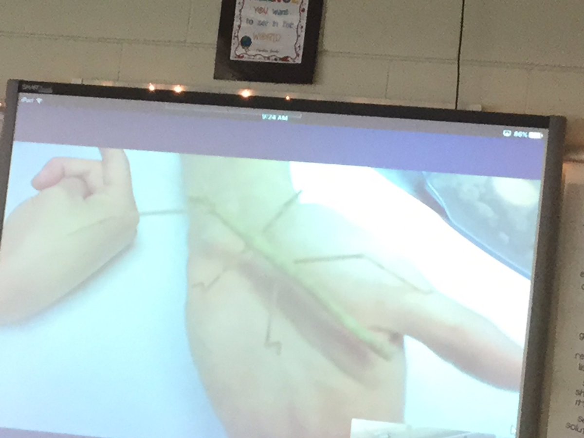 CBDCollins's tweet photo. Today we took a virtual field trip to the Genovesi Environmental Study Center. Ss deepened their understanding of insects and life cycles and asked great questions to add to their informative writing research! #scienceandwriting @CBWarwickElem @SidelinkerQUEST @MicrosoftEDU https://t.co/KKim41A5AL