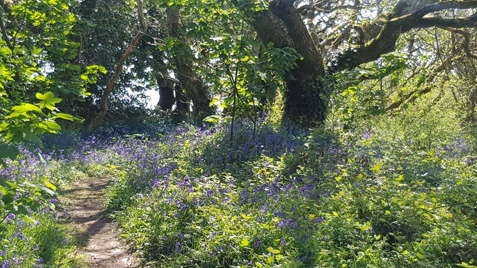 CornwallsCotts's tweet image. Good evening @TruroHour what a fabulous bank holiday weekend! Lots of lovely happy guests enjoying the sunshine in Cornwall! #trurohour