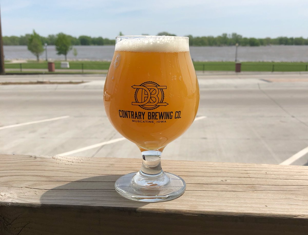 Contrary Brewing tweet media