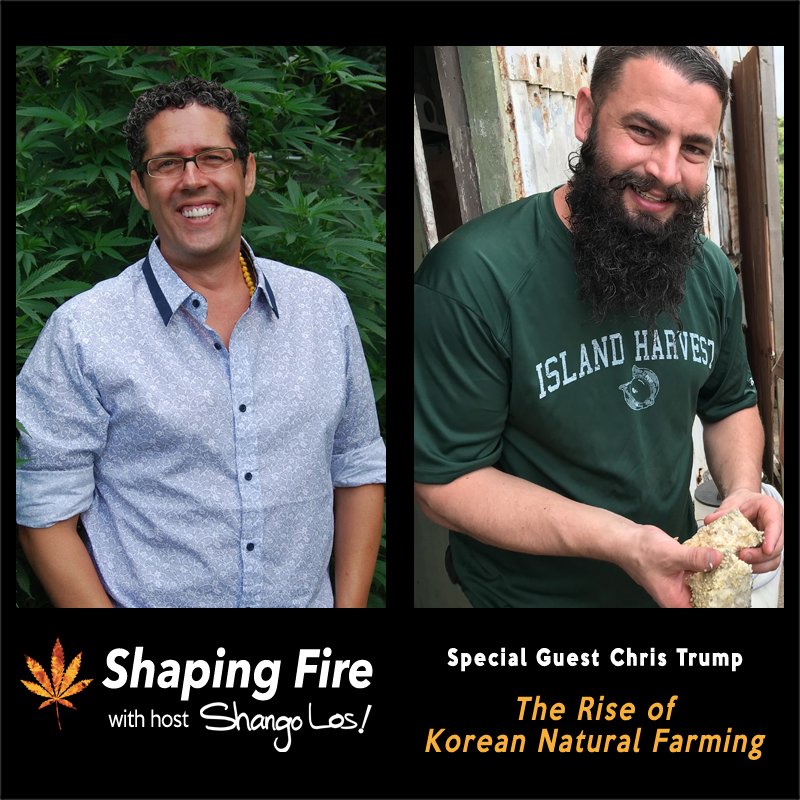 ShapingFire's tweet image. #KoreanNaturalFarming for the heart and head. Learn what you need to know about #KNF use in #cannabis cultivation on this week's episode of @ShapingFire with host @ShangoLos bit.ly/2HYJO0O #marijuana