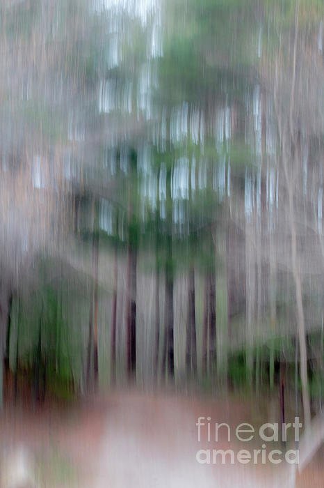 New artwork for sale! - "Forest Abstract" - fineartamerica.com/featured/fores… @fineartamerica