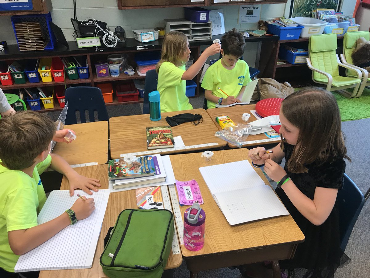 2ndGradePride's tweet photo. Observing our new caterpillars! 🐛 🔎 https://t.co/BL3WfH3zy2