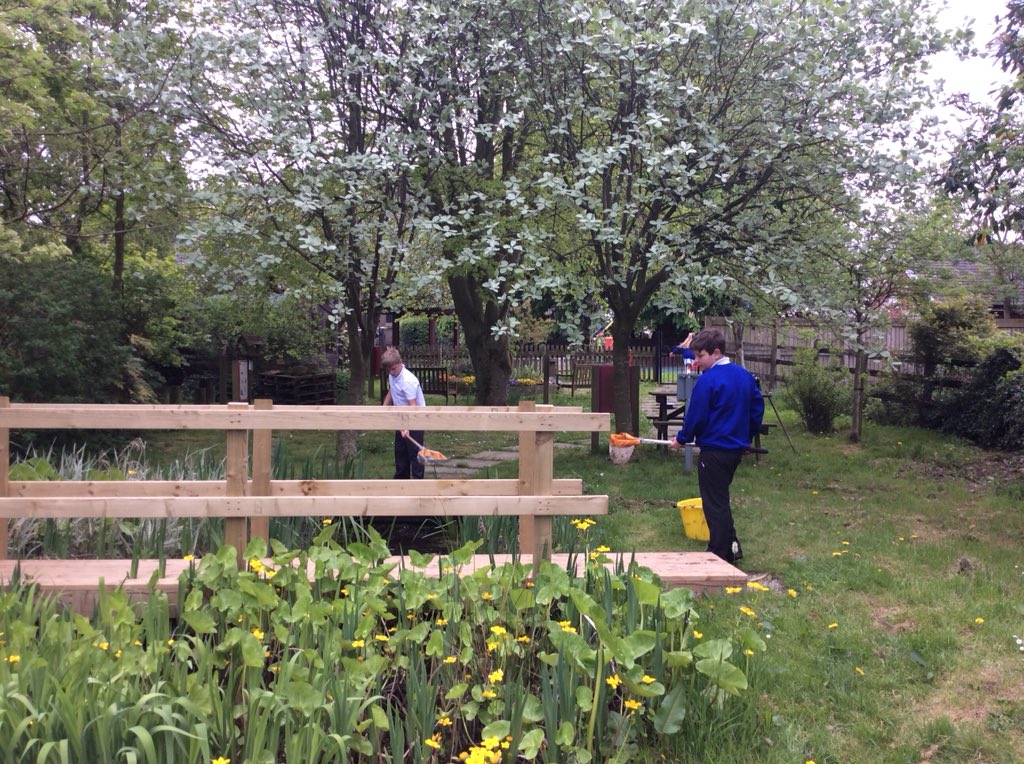 trealesprimary's tweet image. What a lovely place to do some #science 
Lucky children! #treales