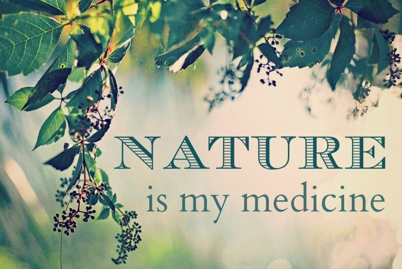 UR_FreshForLife's tweet photo. What has been the most effective type of natural healing you have ever received?  Why was it so effective for you?
#naturalhealing #whatworksforyou #healingadvice #freshforlifearts https://t.co/SEG3OBOOrc