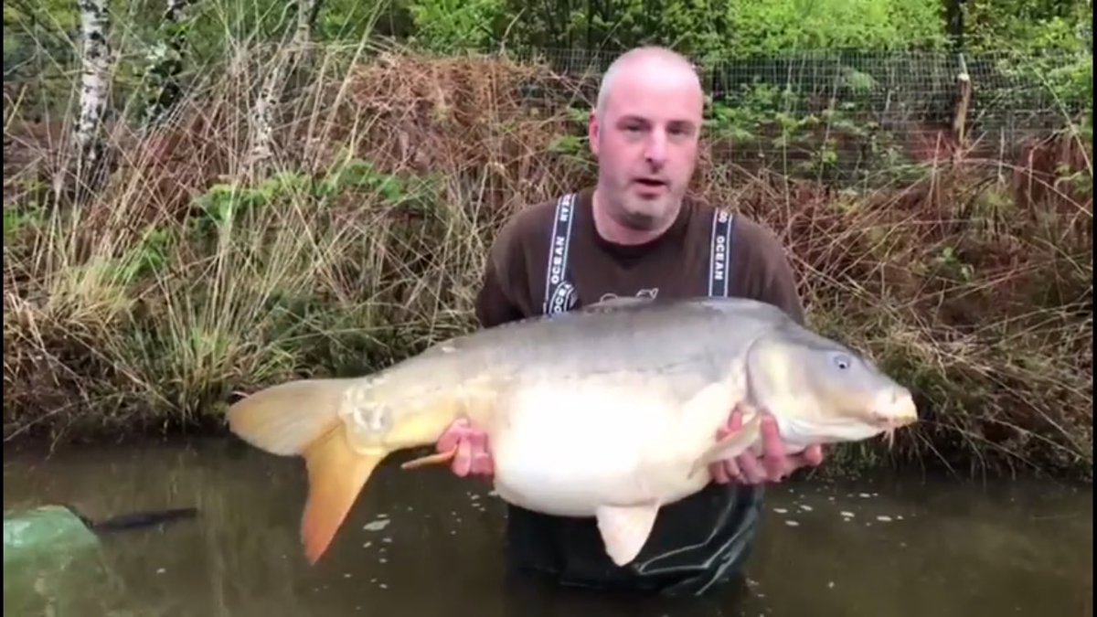 ijwilly's tweet photo. French pb mirror at 46lbs @hybrid_tackle @Deep_Blue2018 #armohawks #armedanddangerous #freshisbest https://t.co/fEf8H3UR4B