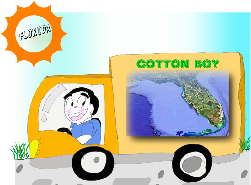 CottonBoyInUSA's tweet photo. 20 Reasons Why You Should Move to Florida #florida #USA #sun #beach #environment #moving #lifestyle #cottonboy #cartoon #blogger                  
https://t.co/D7IRyluSf4 https://t.co/D0E9syuiwK