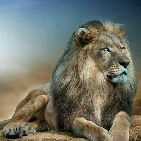 shahid7707's tweet photo. #NewProfilePic https://t.co/nUCiPzIp0Q