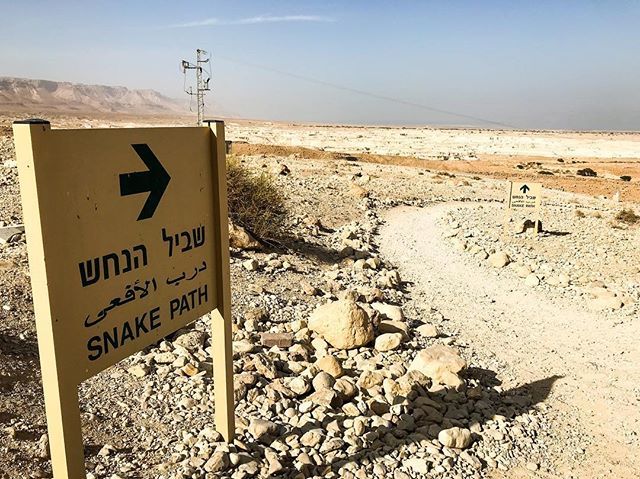 iamgalba's tweet photo. Famous Snake Path ๐ under gorgeous Masada Fortress, Israel ๐ฎ๐ฑ nowadays hiking spot here ๐ถ #israel #masada #hiking #snakepath #masadafortress https://t.co/hlgK3Xf6bP https://t.co/ZQdPyUCUJB