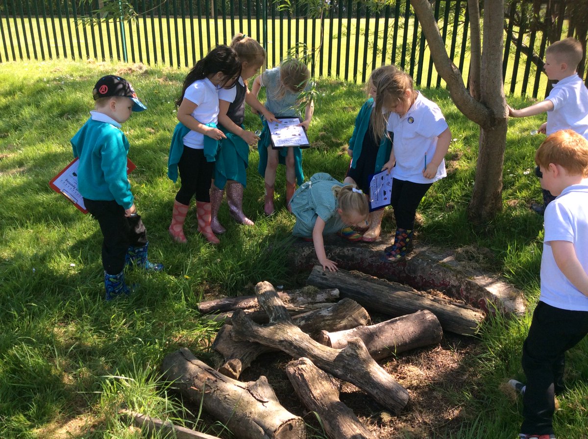 whitehouseps's tweet photo. 'We're going on a bug hunt!' @whitehouseps @NTynesideEY @NTCouncilTeam #outdoorlearning #insects #collaboration #UnderstandingWorld https://t.co/Q7vXrEqnwz