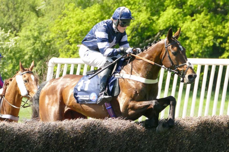 CarolineFryer2's tweet photo. A double for team @CarolineFryer2 at Northaw Point to Point yesterday afternoon. Midnight Bliss &amp; Kingston College were both convincing winners! Kate Gowing gave them both a superb ride. #midnightbliss #kingstoncollege #kategowing #happyandhealthyhorses #spillersfeed https://t.co/tVQeHrO7Wf
