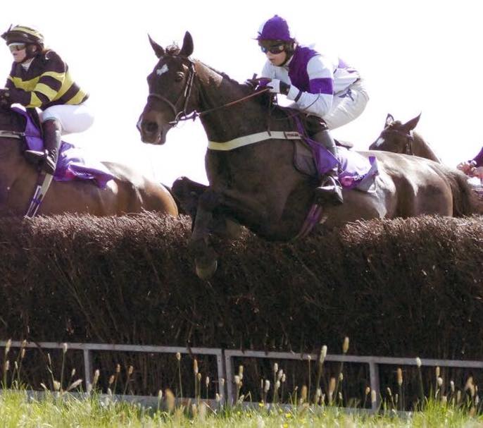 CarolineFryer2's tweet photo. A double for team @CarolineFryer2 at Northaw Point to Point yesterday afternoon. Midnight Bliss &amp; Kingston College were both convincing winners! Kate Gowing gave them both a superb ride. #midnightbliss #kingstoncollege #kategowing #happyandhealthyhorses #spillersfeed https://t.co/tVQeHrO7Wf