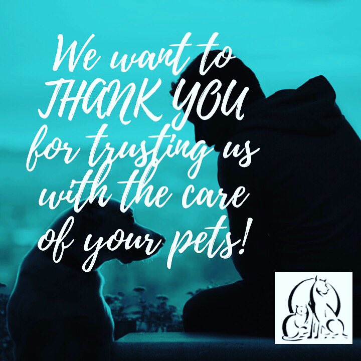 Austin_Vets's tweet photo. Thank you to our awesome clients! You're the best! 🤗
#tuesdaythoughts #gratitude #avdh #austinvet #atx #veterinarian #DogsofTwitter #catsoftwitter 🐾 (512) 288-1040
https://t.co/sHPTNASitQ https://t.co/4DJIcd6L6m