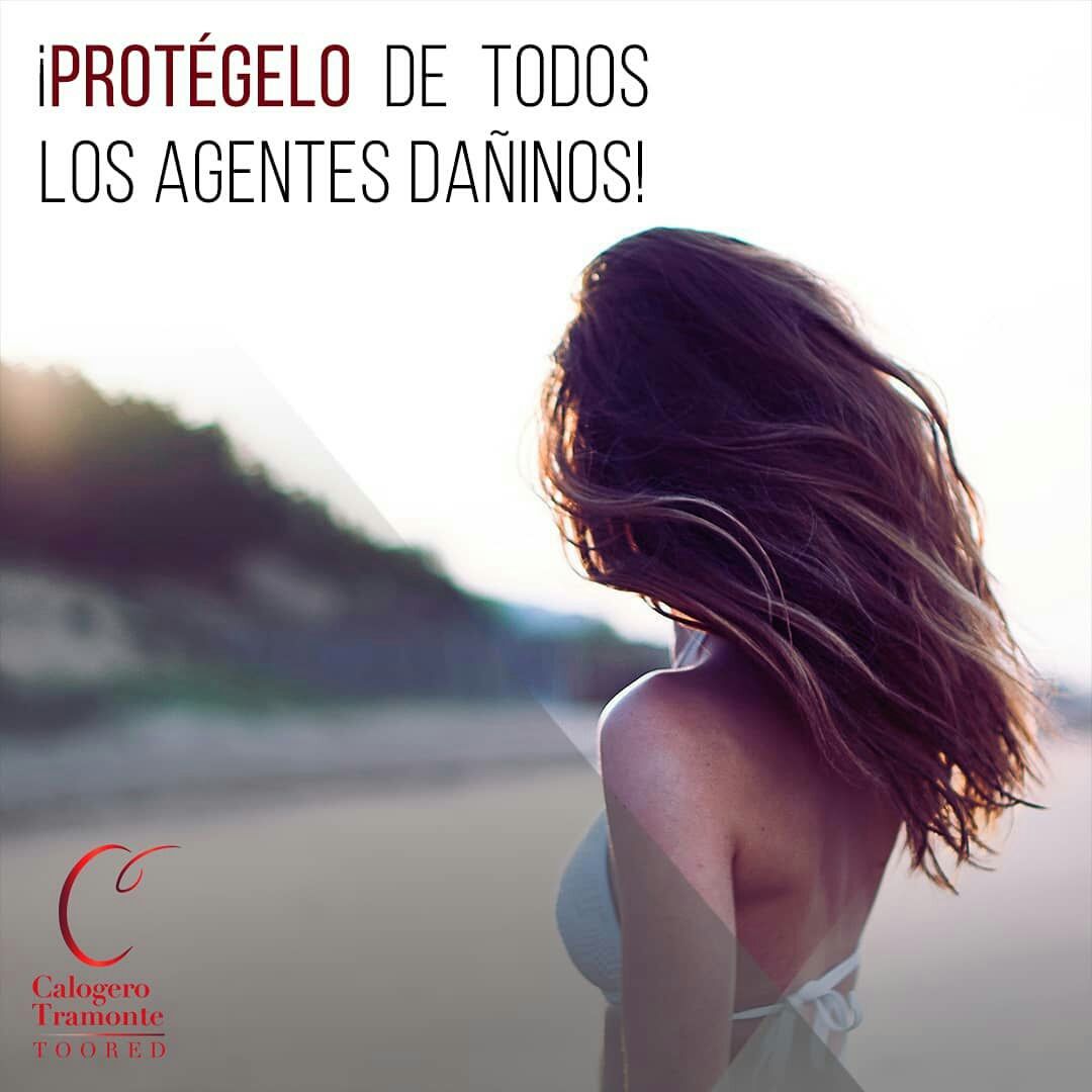 FactoresdePoder's tweet photo. #AliadosFDP | La exposición excesiva al sol provoca daños en el pelo, incluso puede quemarlo, cambiar su textura, hacerlo más frágil, deshidratarlo y hasta lograr que pierda color | Síguelos en Instagram 👉 @ctoored | #hairfashion #barber #TooRed #CalogeroTramonte #hair #Beauty https://t.co/La6PDFD7cP