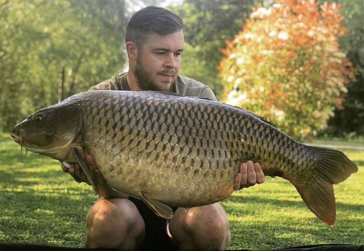 Bailiff Mike with a cracking 40lb 04oz common caught minutes before reeling in to deliver breakfast 🥓🥖🥓 #mainlinebaits #carpfishing #goo #selftake