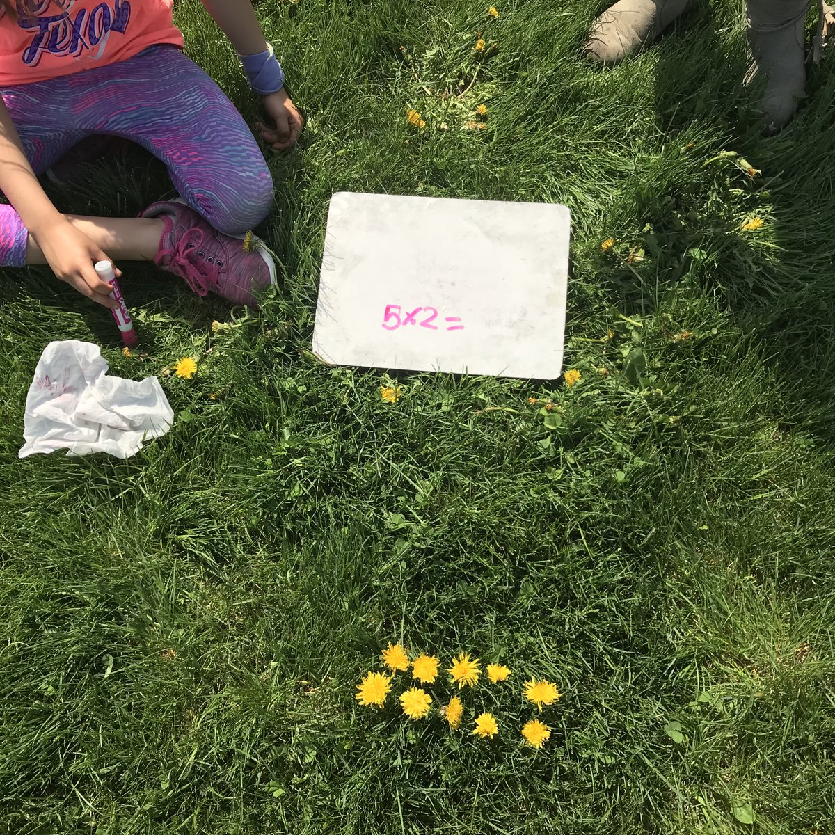 LauraGoTeach's tweet photo. Building arrays with dandelions during Math workshop @D59SaltCreek in Mrs. Safina’s 2nd Grade! https://t.co/L3VFqhBb68