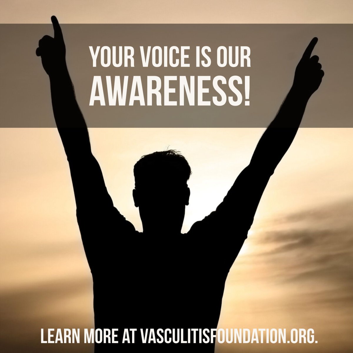 VasculitisFound's tweet photo. Let your voice spread awareness about the impact of vasculitis!

Visit the new Vasculitis Awareness Month 2018 web page: https://t.co/GwgImz3i4A https://t.co/jx4ZrgwDL6