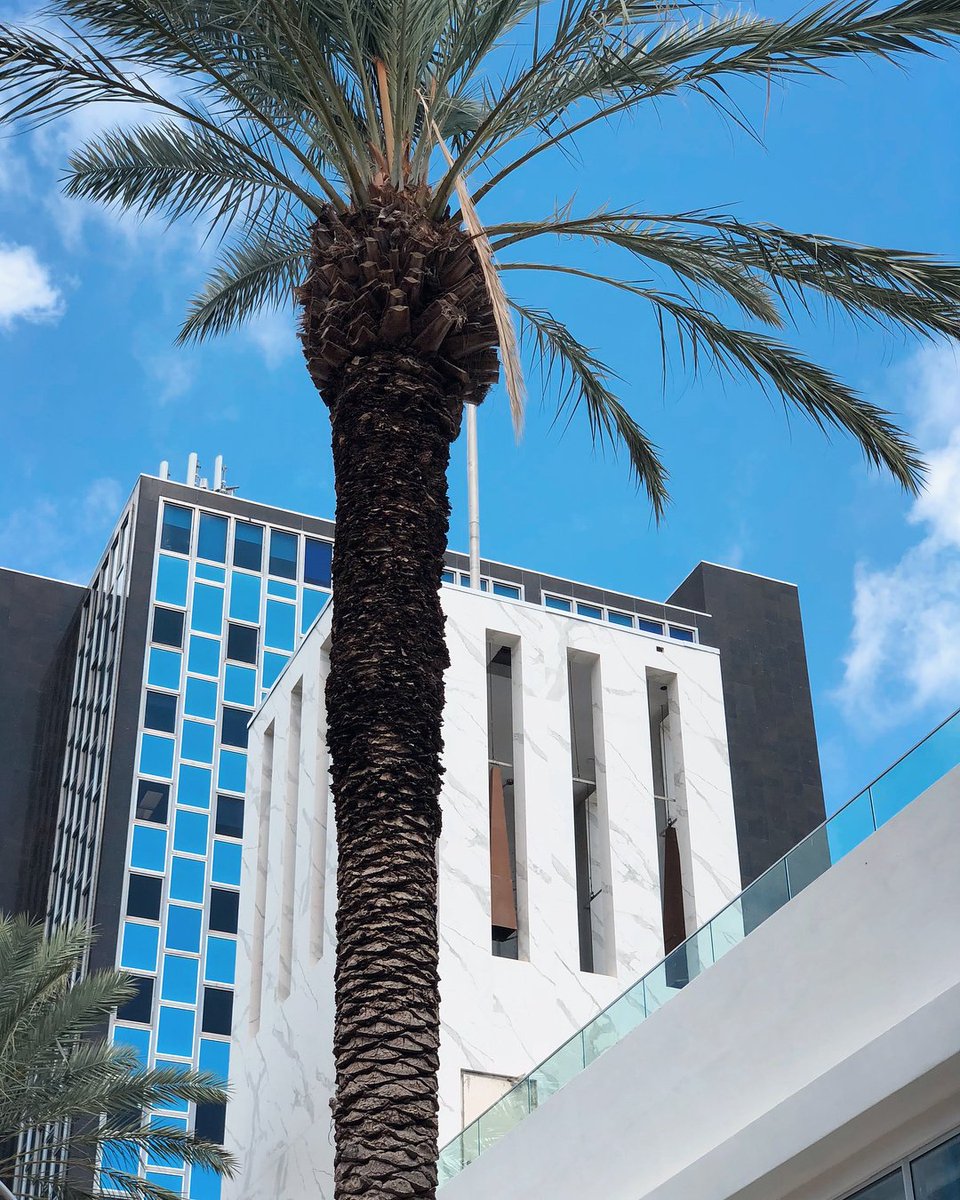 edumat79's tweet photo. In love with Miami Beach pastel color palette and his Art Deco architecture, true inspiring! #traveling #miamibeach #oceandrive #artdeco #southbeach #iphonex https://t.co/Z8ckLixJcF