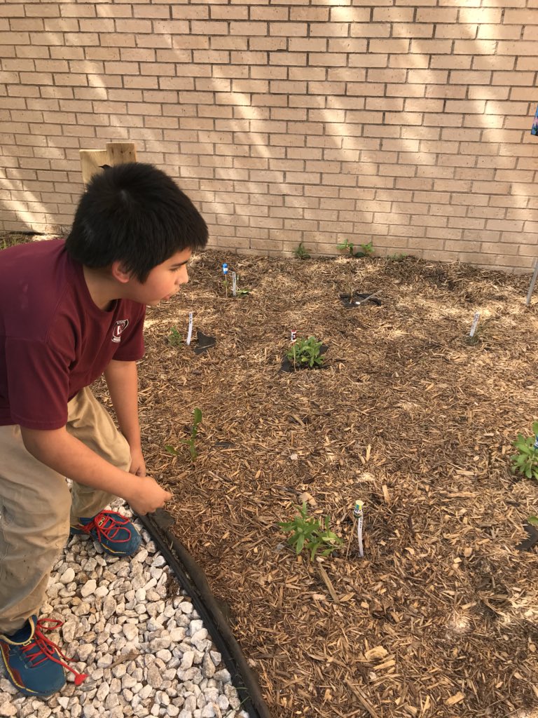 edison_school's tweet photo. Green Class and Science Workshop did a wonderful job on the bird garden. Spotted Mr. Smith getting a private tour. @HilarionMartin1 @DDavilaHisd @TeamHISD @HoustonISD https://t.co/gvtzRJtY0J