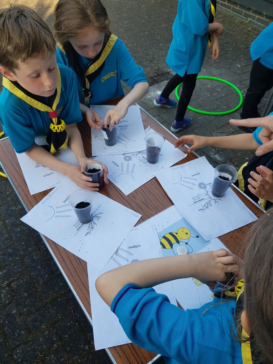 Working towards our Gardening badge. Planting seeds  <a href="/HunsdonBeavers/">Hunsdon Beavers</a> <a href="/HunsdonVillageH/">Hunsdon Village Hall</a> <a href="/HunsdonCubs/">Hunsdon Cubs</a> <a href="/HunsdonScouts/">Hunsdon Scout Troop</a>