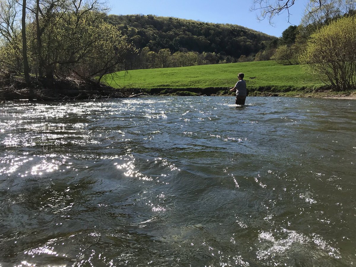 ThisIsVT's tweet photo. Spent the afternoon flyfishing w/ Mike from Green Mountain Troutfitters. Caught nothing, but with a day like this, who cares? #trout https://t.co/zGSOkFwnxH