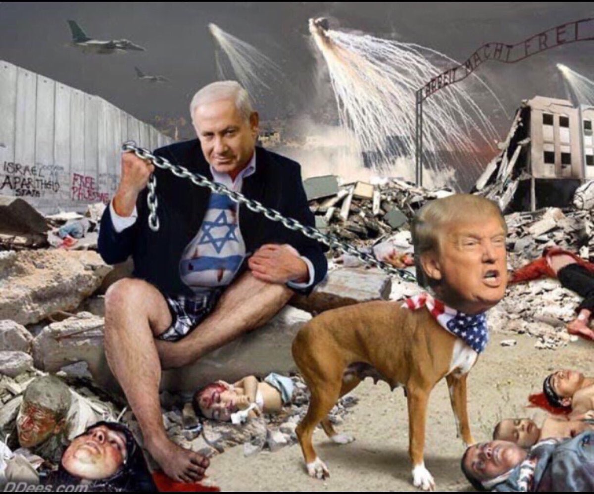 Jalal Derbas tweet media