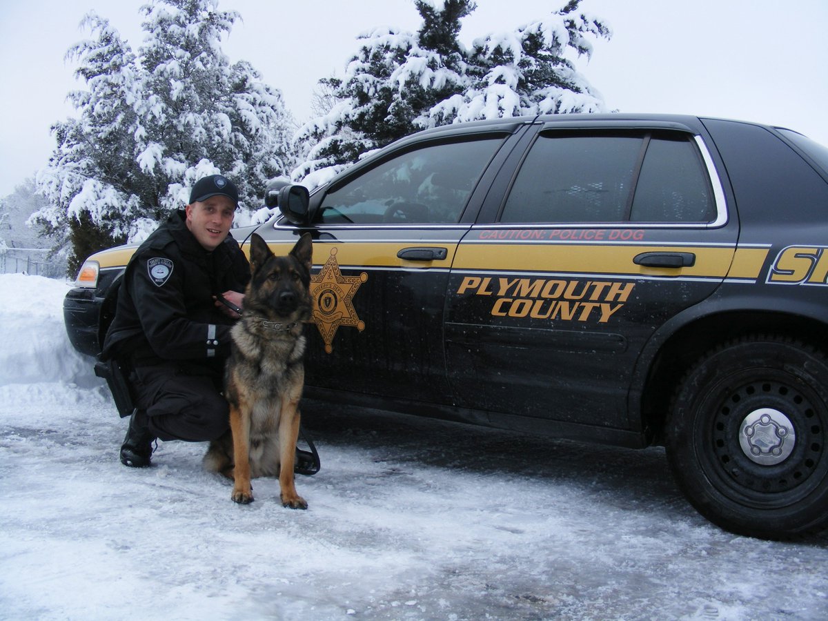#K9Officer Ardini's longtime #K9 partner, Bodo,  was put to rest after a long and successful career. RIP Bodo