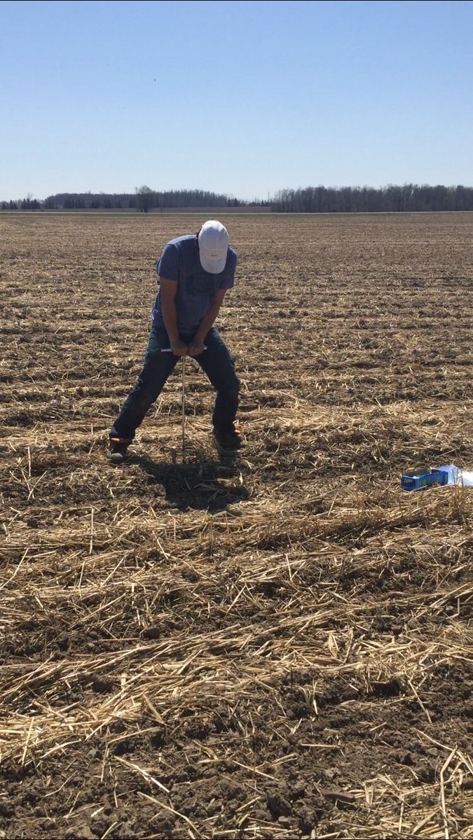 Colourful soils. Examining mineral-organic-P interactions in agricultural soils #ontag <a href="/merrinm/">Dr. Merrin Macrae</a> Thx <a href="/lam_vito/">Vito Lam</a> &amp; JC for field help today