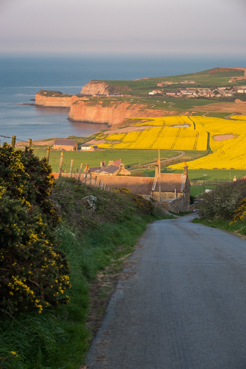 WhitbyPhotos's tweet image. We really are so lucky.

#whitby #yorkshire #sunset #bluebells #spring