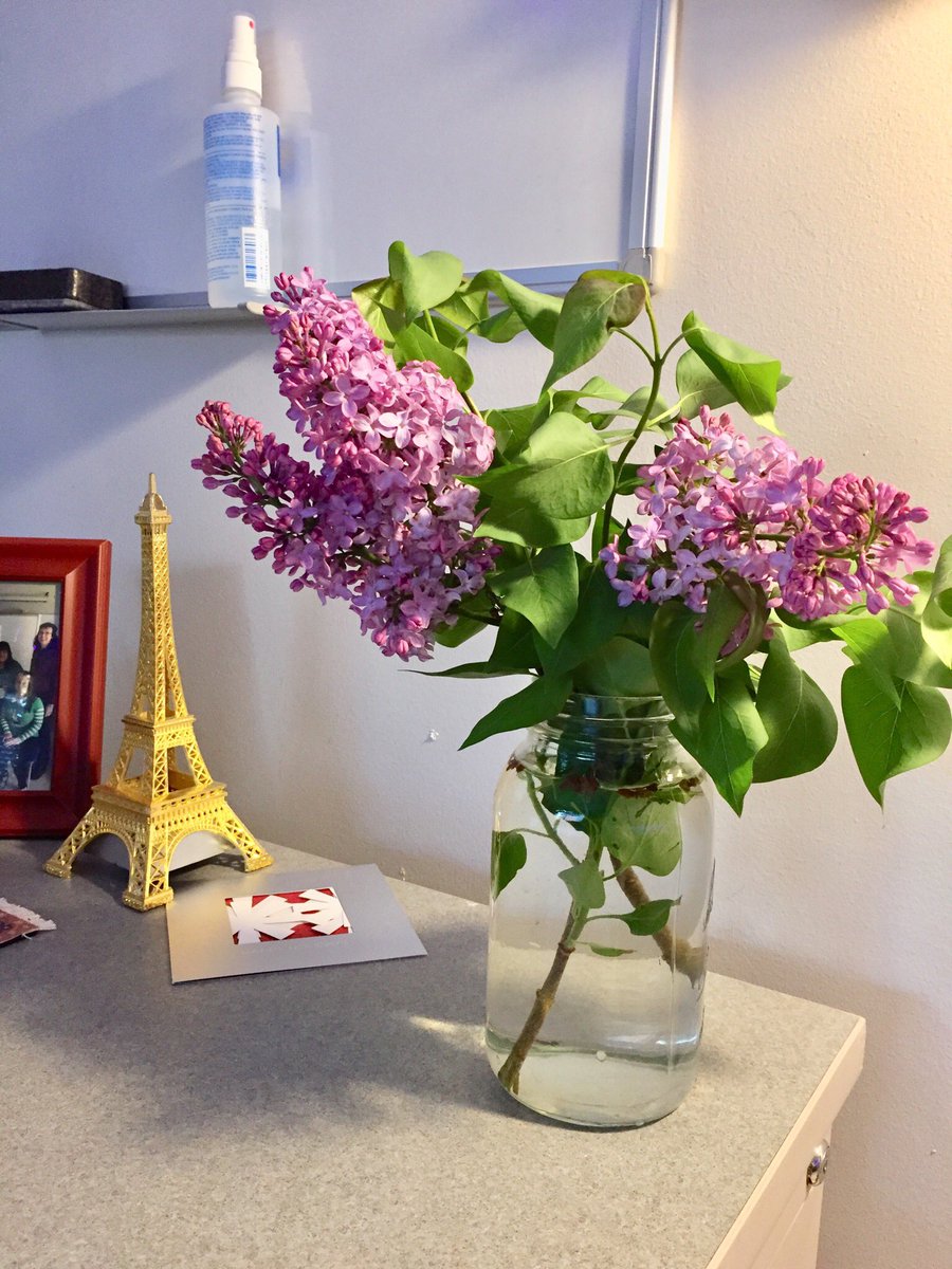 MmeScarbrough's tweet photo. Thanks to Mrs. Gordon for brightning the World Language classrooms and office with her beautiful flowers! #spring #beautiful #SoPretty #MakingWorkBetter #ItsTheLittleThings https://t.co/DXs6dV9JAd