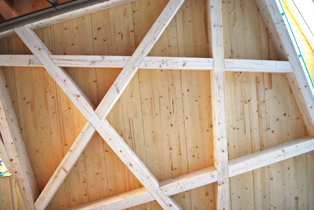 DIRTT's tweet photo. Natural. Scalable. Flexible. Customizable. #DIRTTtimber #TimberTuesday https://t.co/1o1fReqSKW