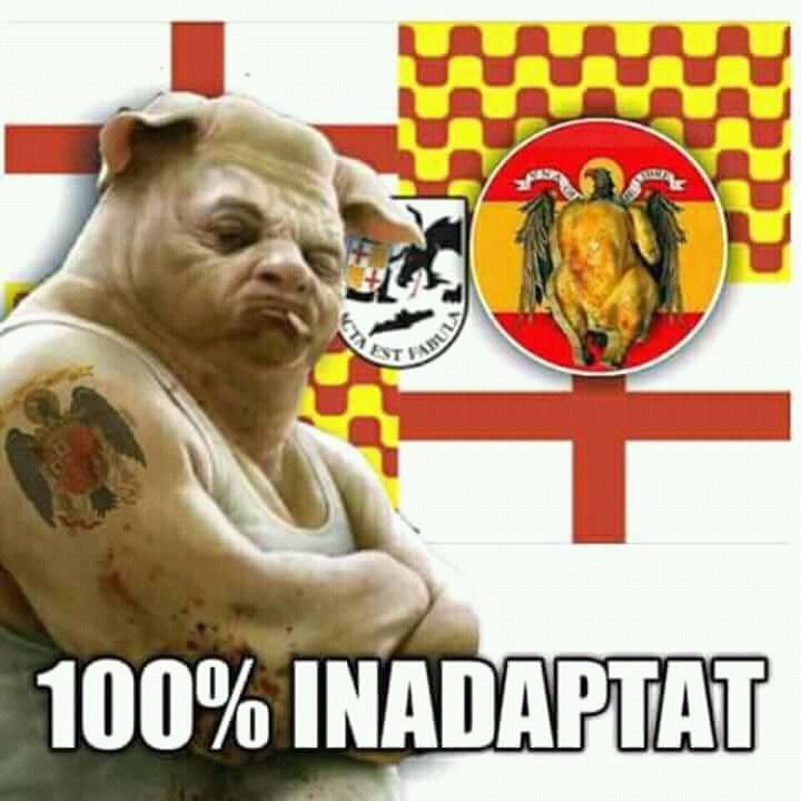 LlaoJorge's tweet photo. @stb1971 @Montsemart54 @cataladigitalok STB https://t.co/QizrStuOSz