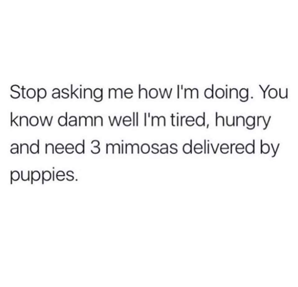 PetableCare's tweet photo. Don't forget the #puppies 😊 https://t.co/Nn13HQQhTh