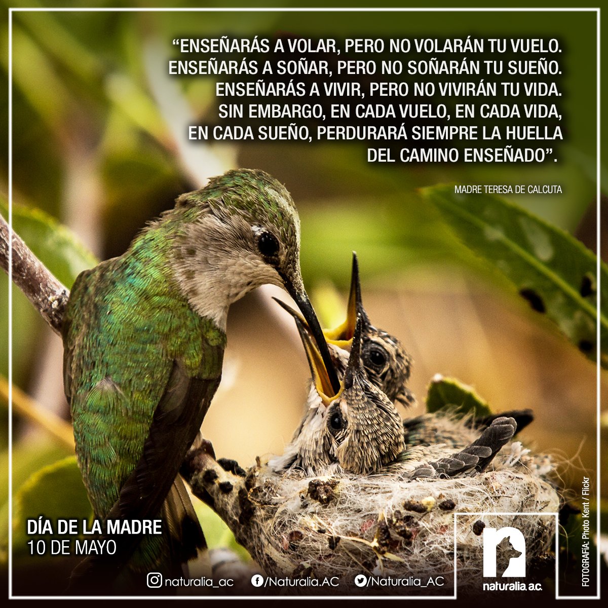My Image 12