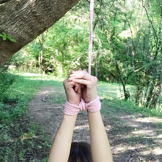 🌳🌸🌿 https://t.co/AwhxtKfyXU