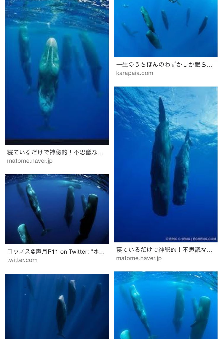 Zinbei 単行本 発売中 最近群れて寝てる縦のクジラとコバンザメの画像ばっか観てる T Co Kiov1ocjyb Twitter