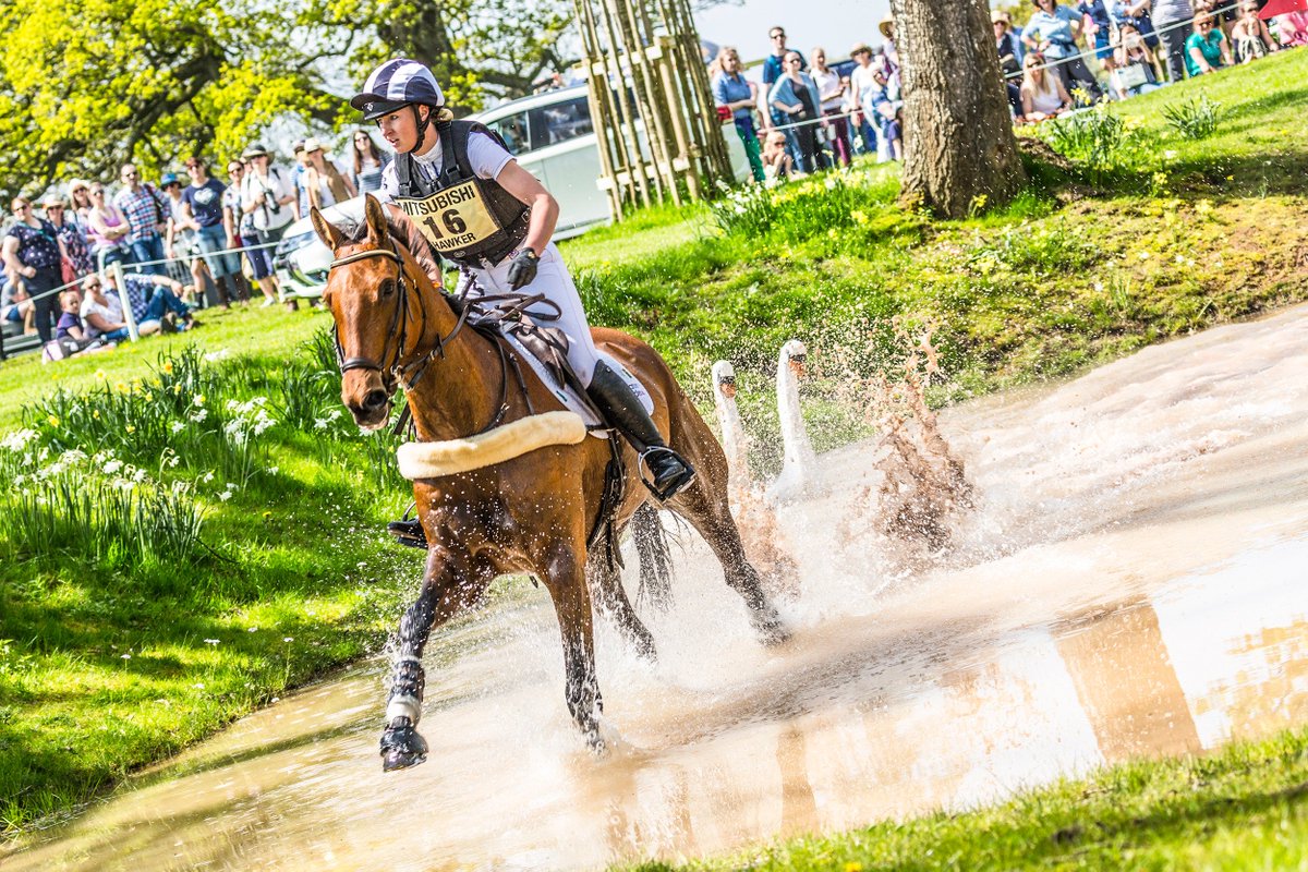 OG Media Solutions tweet media