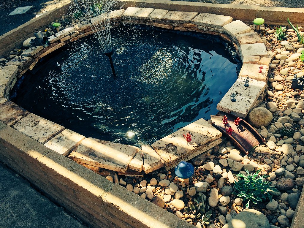 Crazy4ComicCon's tweet photo. After sitting as a post apocalyptic wasteland for a couple of years, I finally got my koi pond up and running. Figured out what happened, Uruk-hai orcs built a toxic ooze dumping facility. I can’t catch a break...
#FirstNerdProblems https://t.co/f2KoaToyot